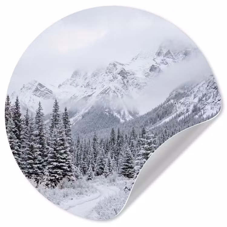 Behangcirkel - Weg - Bergen - Sneeuw - Naaldbos - Avontuurlijk — 1