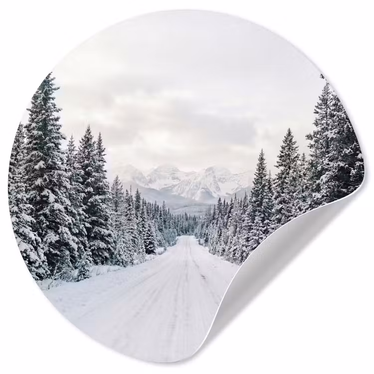 Behangcirkel - Weg - Sneeuw - Naaldbos - Winter - Avontuurlijk — 1