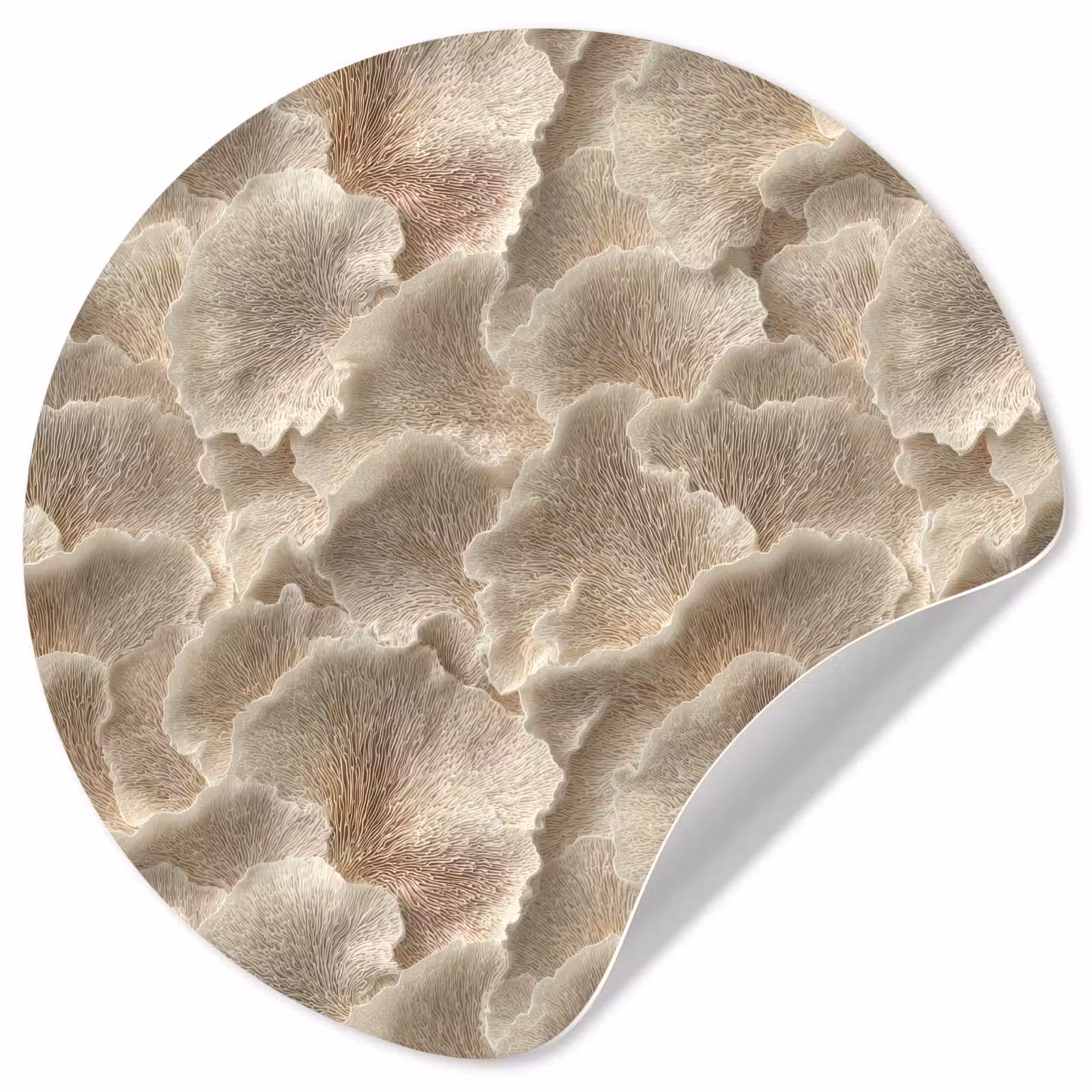 Behangcirkel - Waaierstructuren - Beige - Vezeltextuur — 1