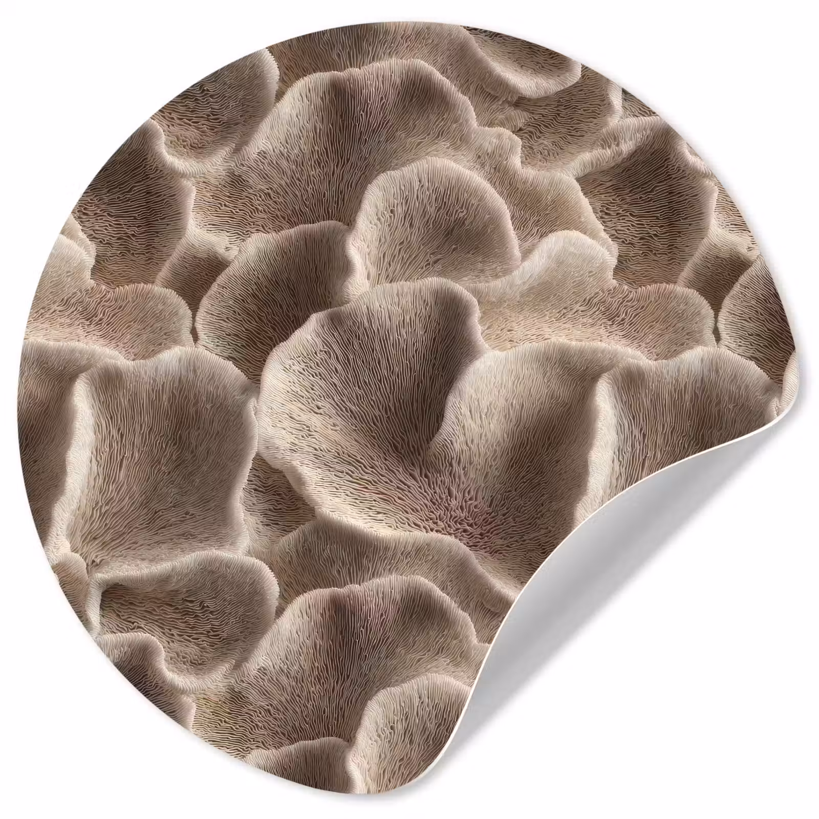 Behangcirkel - Waaiervorm - Beige - Vezel textuur — 1