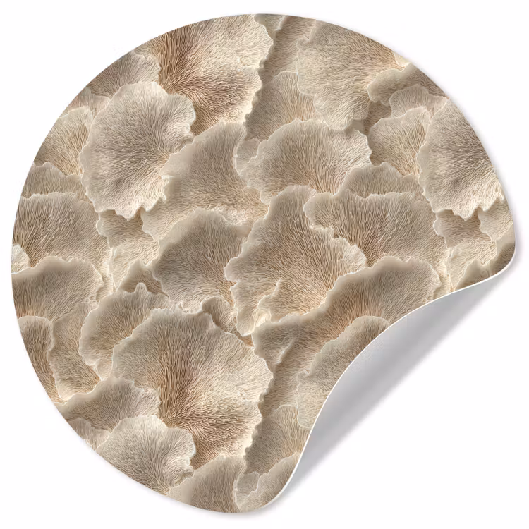 Behangcirkel - Waaierstructuren - Beige - Vezeltextuur — 1