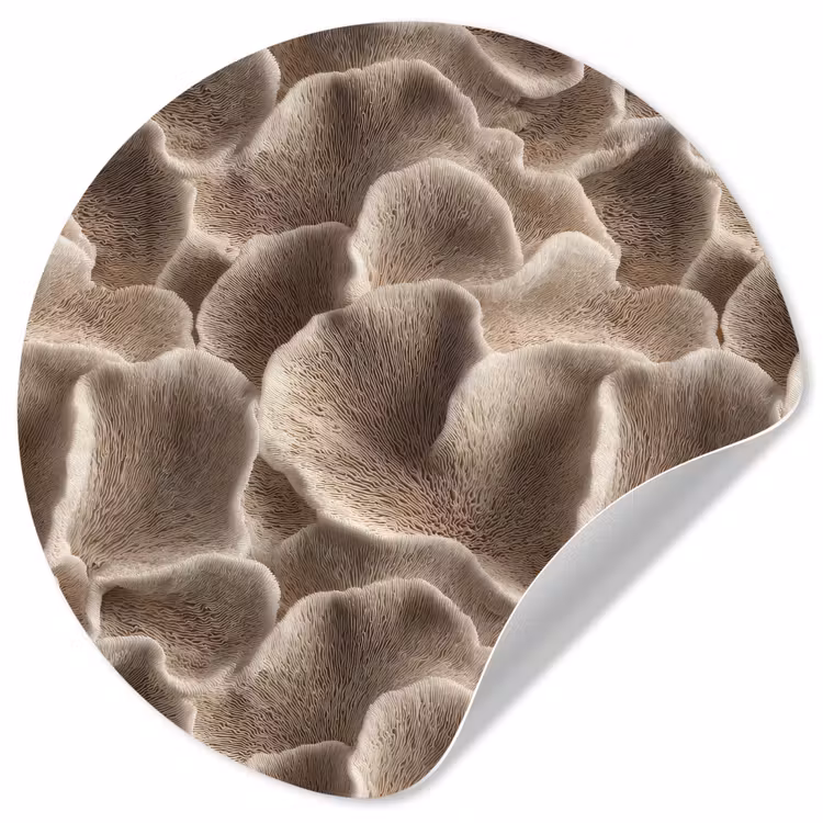 Behangcirkel - Waaiervorm - Beige - Vezel textuur — 1