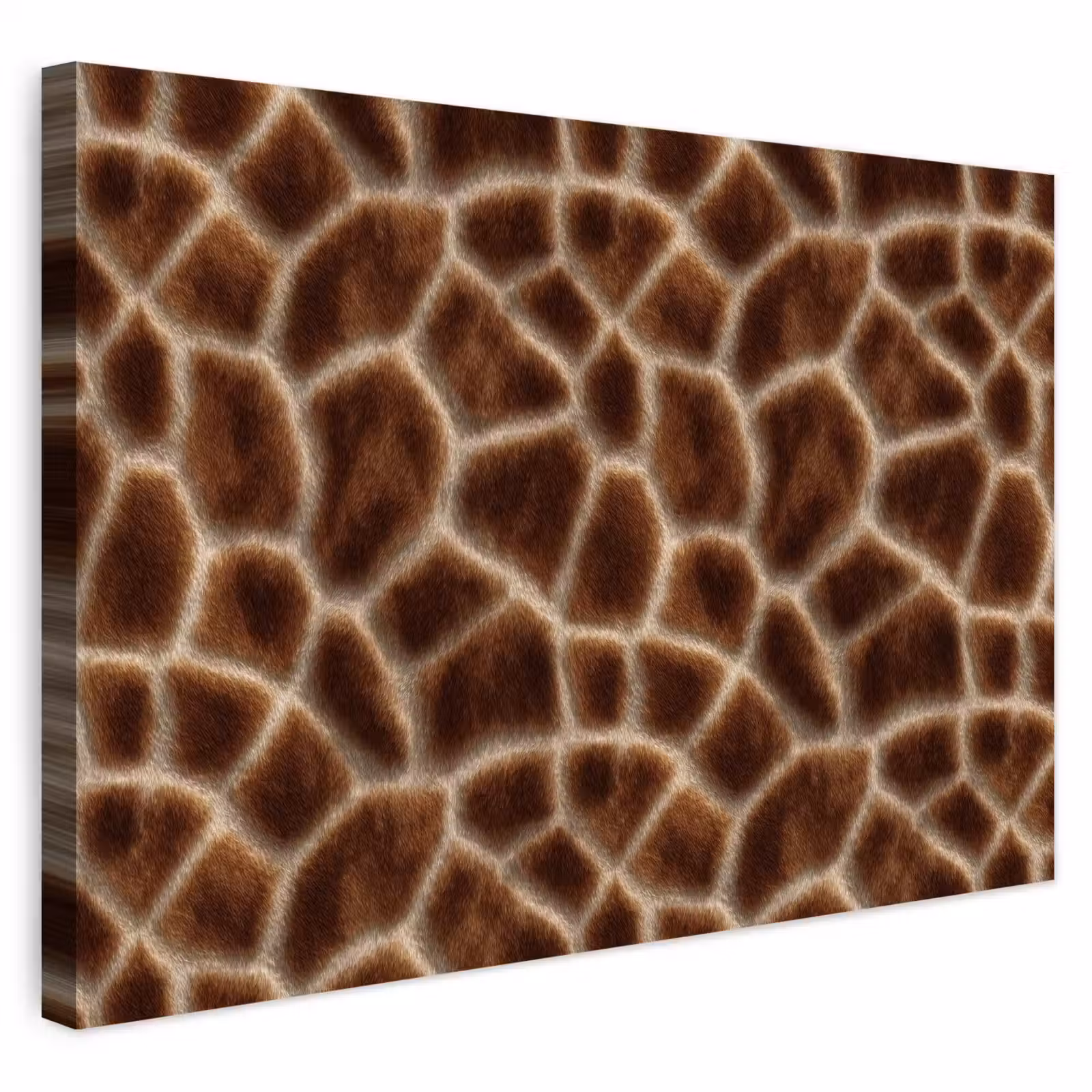 Buiten canvas - Giraf - Bruin - Vacht — 1