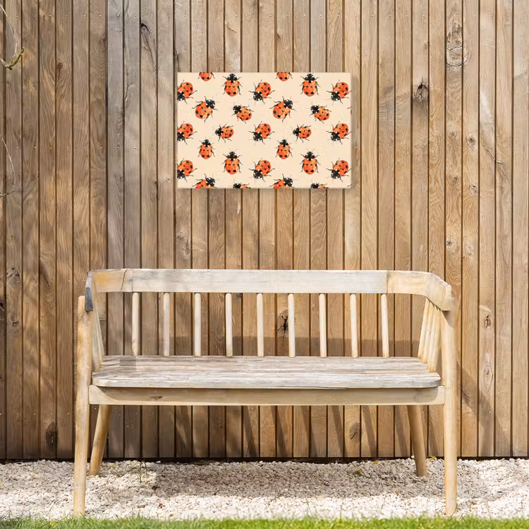 Buiten canvas - Lieveheersbeestjes - Patroon - Rood — 3