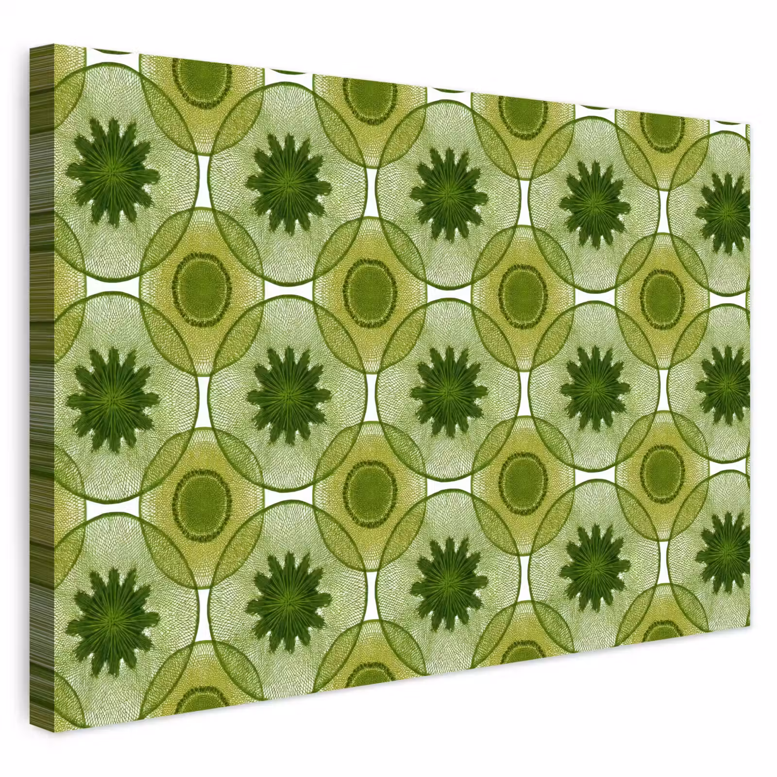 Buiten canvas - Cirkels - Patroon - Groen — 1