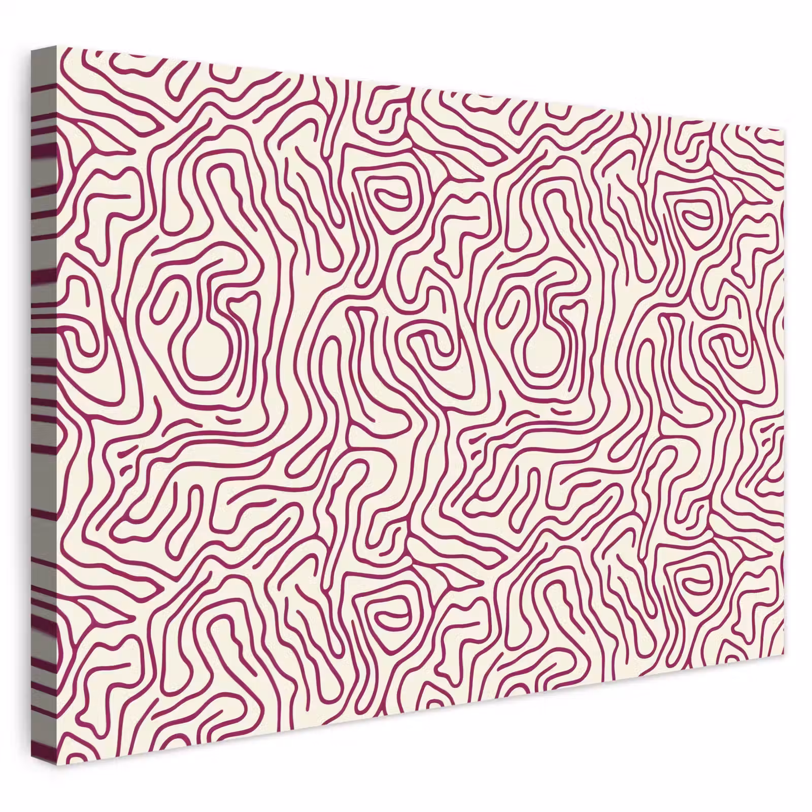 Buiten canvas - Kronkelende lijn - Magenta - Crème — 1