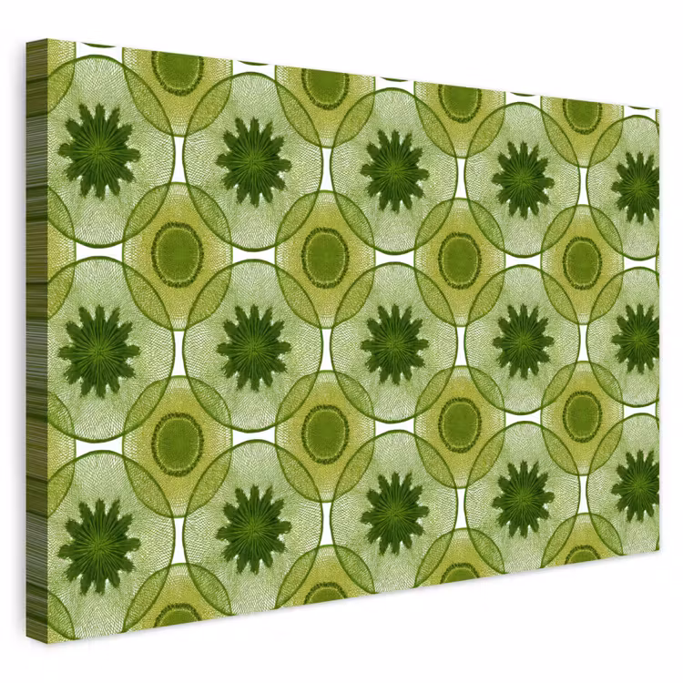 Buiten canvas - Cirkels - Patroon - Groen — 1