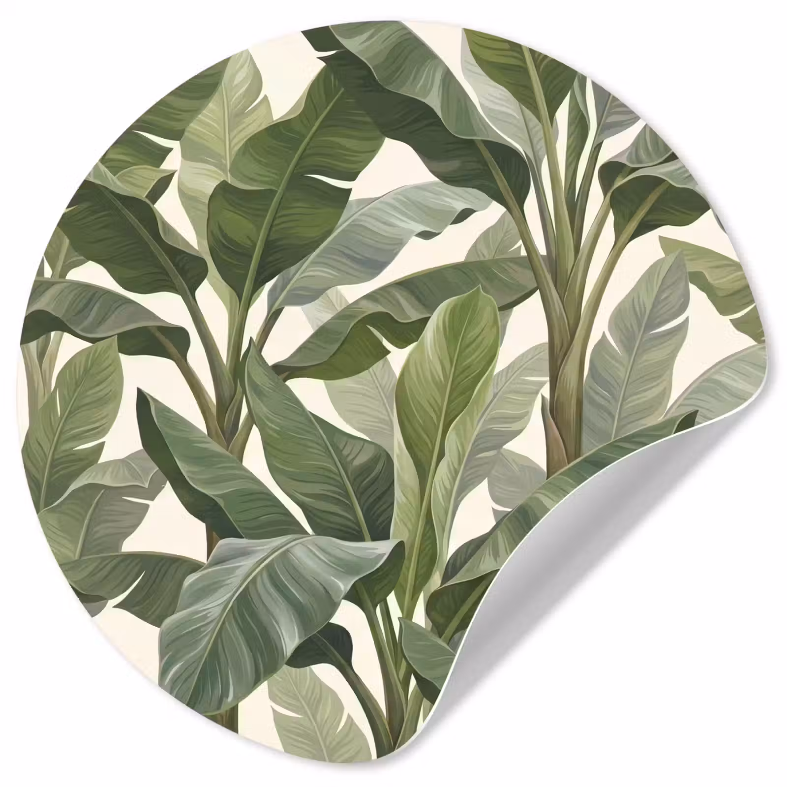 Behangcirkel - Planten - Bladeren - Tropisch - Groen — 1