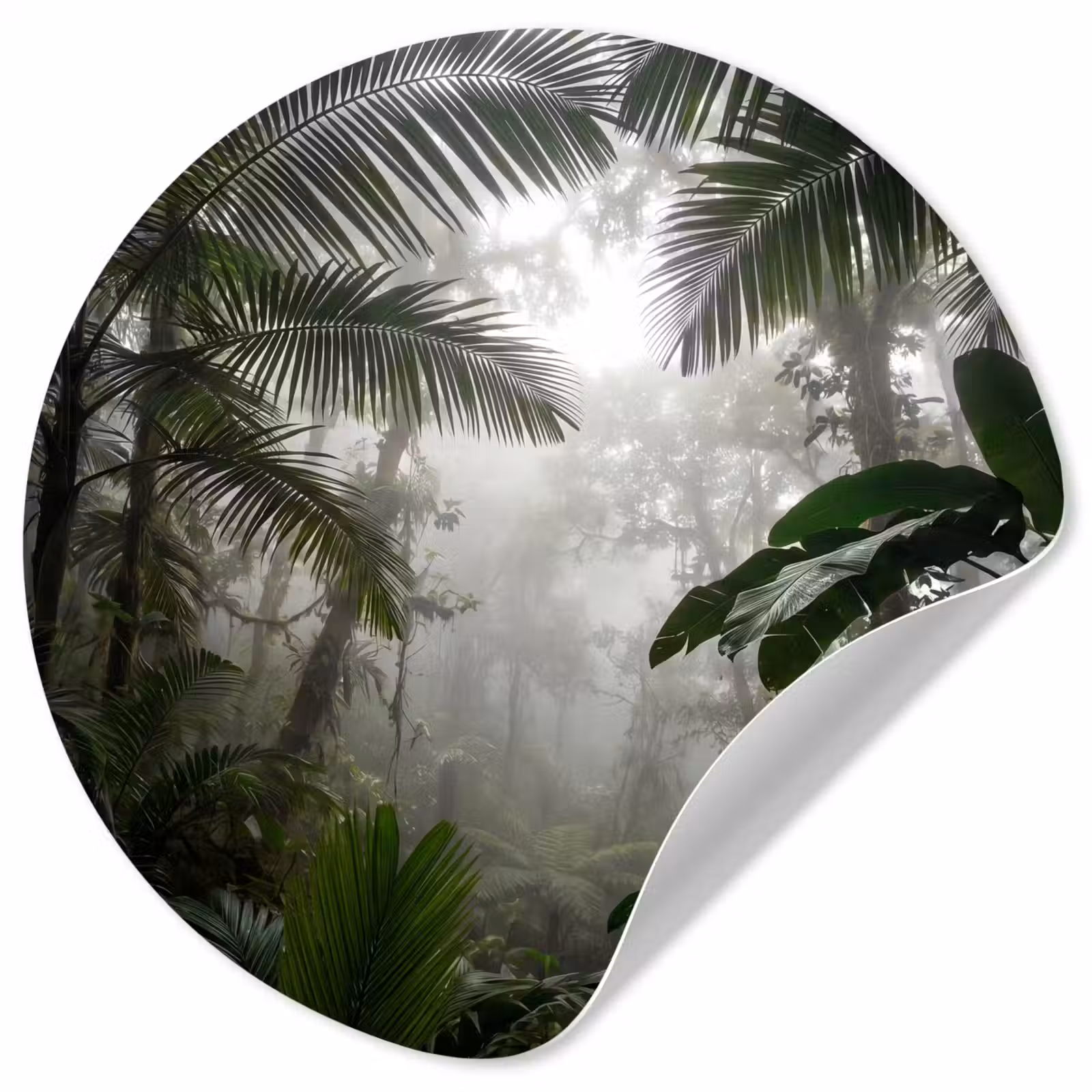 Behangcirkel - Natuur - Jungle - Mist - Groen - Bladeren — 1