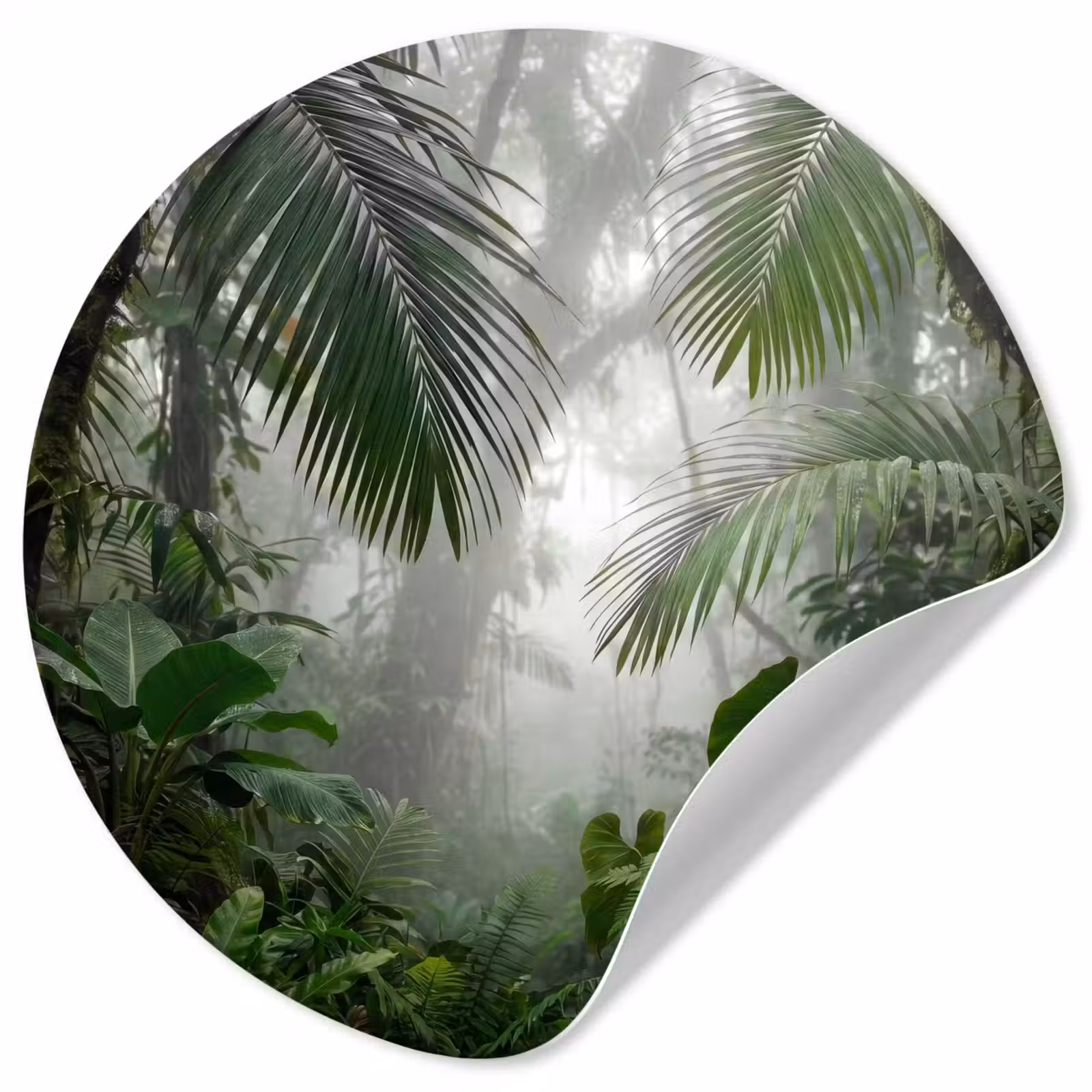 Behangcirkel - Natuur - Jungle - Mist - Tropisch - Groen — 1