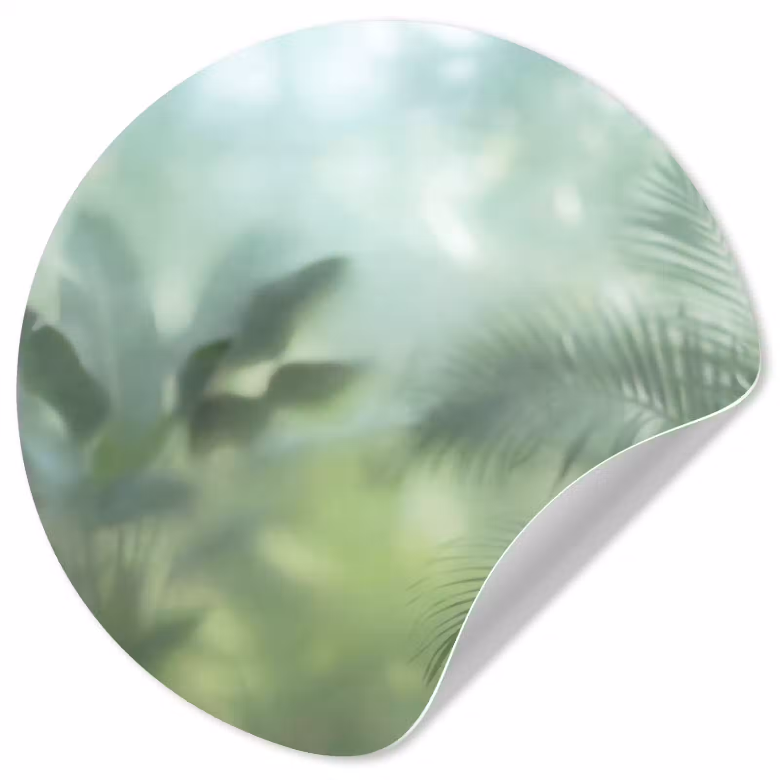 Behangcirkel - Natuur - Vervaagd - Groen - Abstract - Modern — 1
