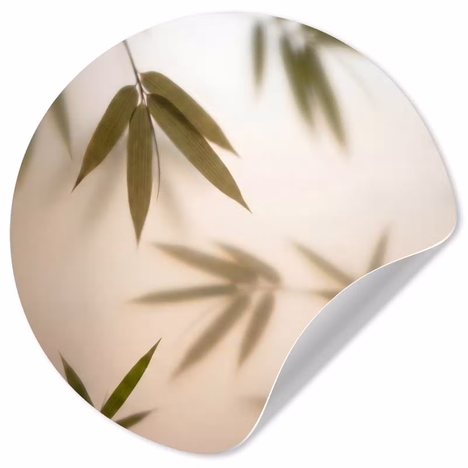 Behangcirkel - Planten - Bladeren - Natuur - Groen — 1