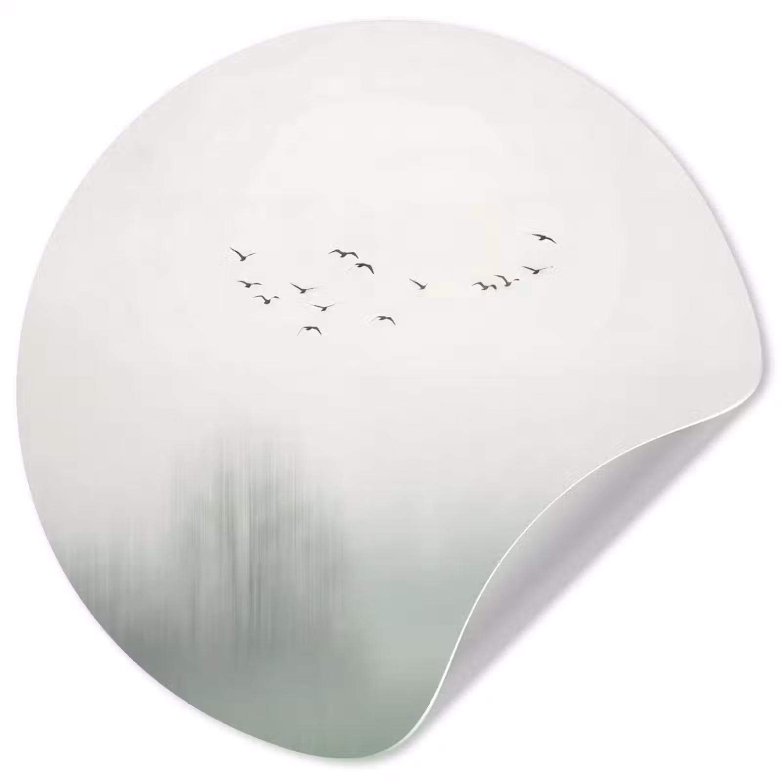 Behangcirkel - Vogel - Vlucht - Natuur - Minimalistisch — 1