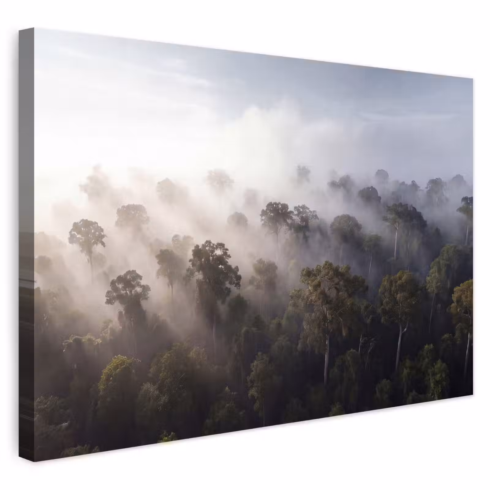 Buiten canvas - Bos - Mist - Natuur - Groen — 1