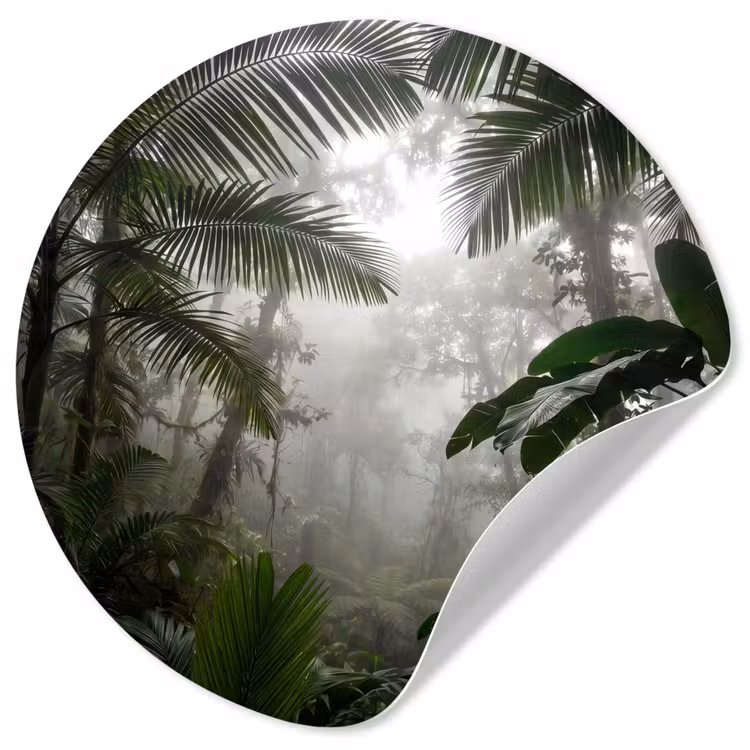Behangcirkel - Natuur - Jungle - Mist - Groen - Bladeren — 1