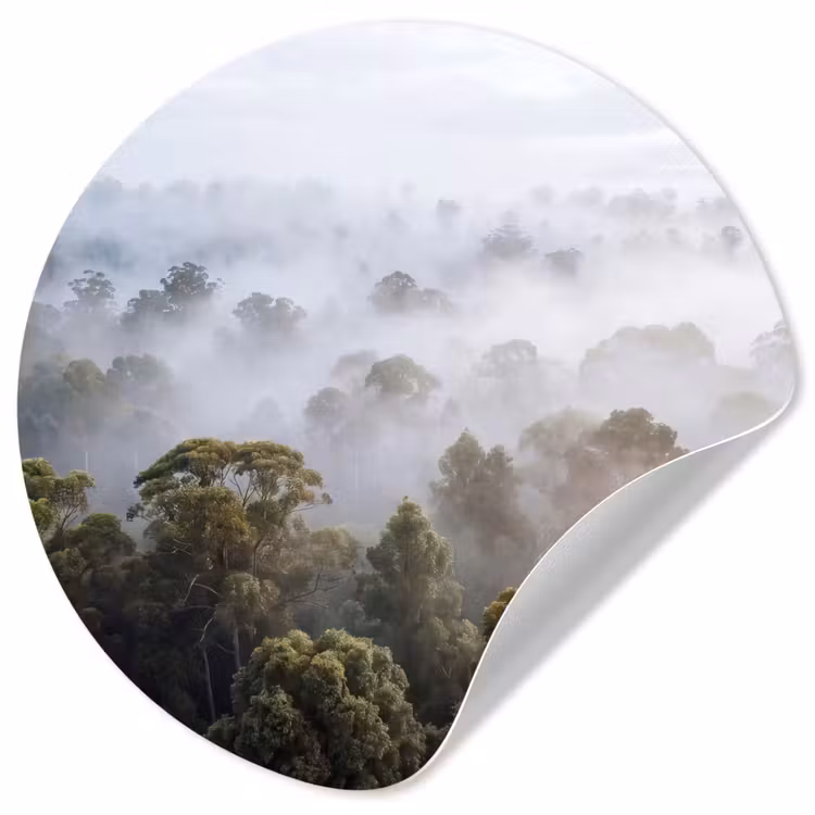 Behangcirkel - Natuur - Mist - Bos - Ochtend - Goud — 1