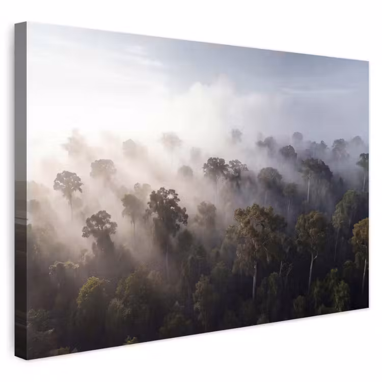 Buiten canvas - Bos - Mist - Natuur - Groen — 1