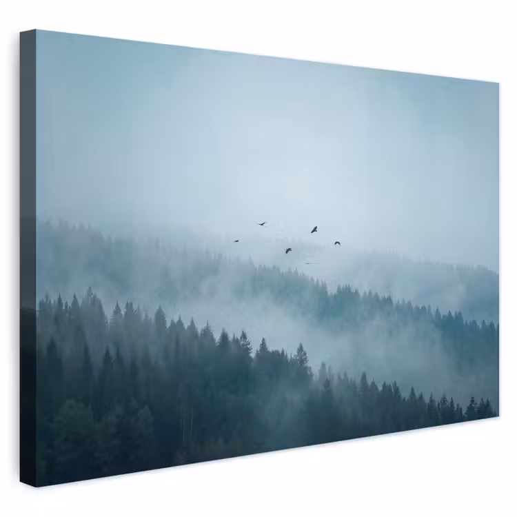 Buiten canvas - Bos - Mist - Vogels - Natuur - Groen — 1