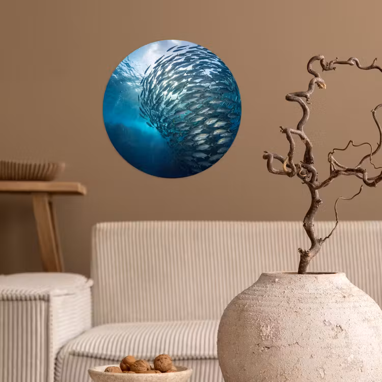 Behangcirkel - Vis - School - Oceaan - Natuur - Blauw — 2