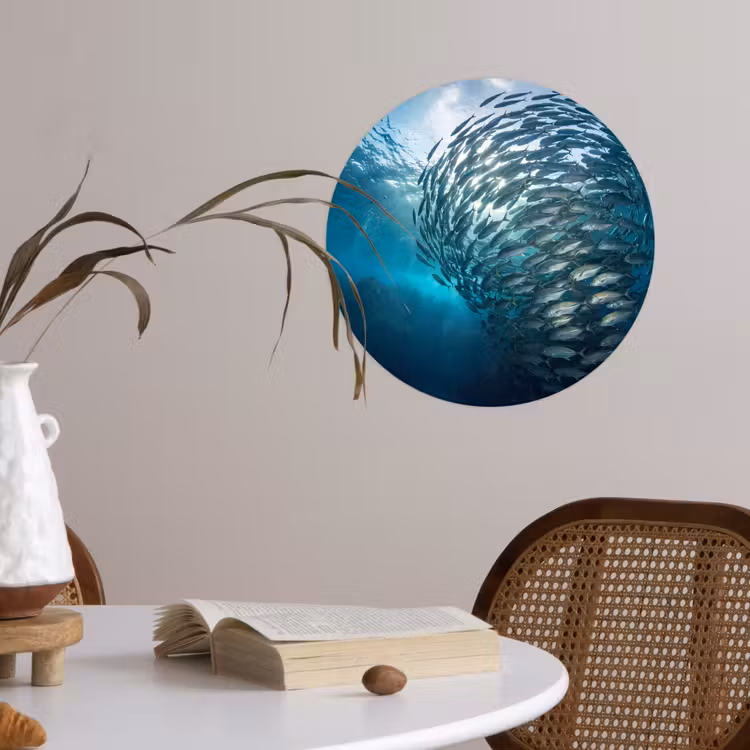 Behangcirkel - Vis - School - Oceaan - Natuur - Blauw — 4