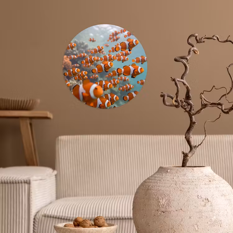 Behangcirkel - Vis - School - Onderwater - Dieren - Oranje — 2