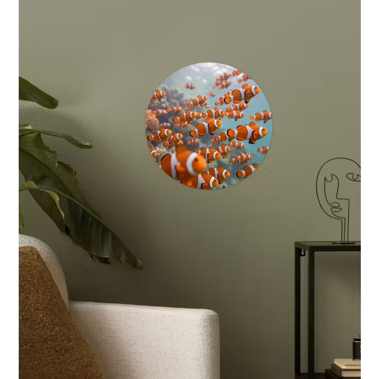 Behangcirkel - Vis - School - Onderwater - Dieren - Oranje — 3