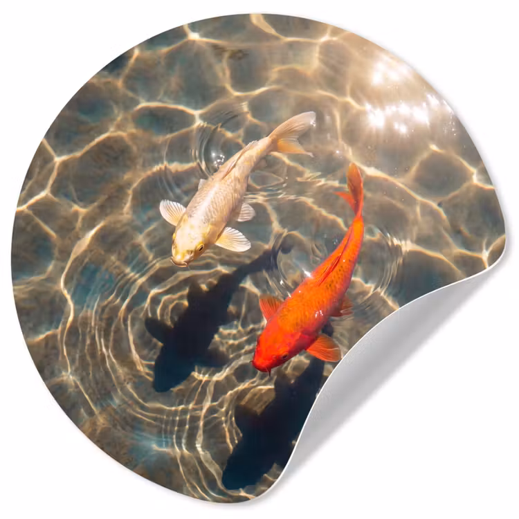 Behangcirkel - Vis - Water - Dieren - Oranje - Goud — 1