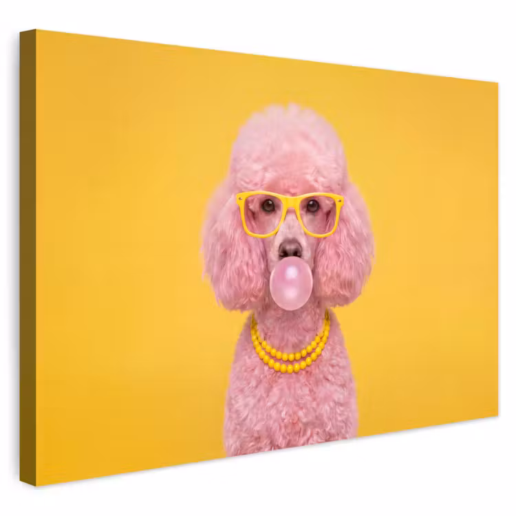 Buiten canvas - Hond - Kauwgum - Dieren - Modern - Roze — 1
