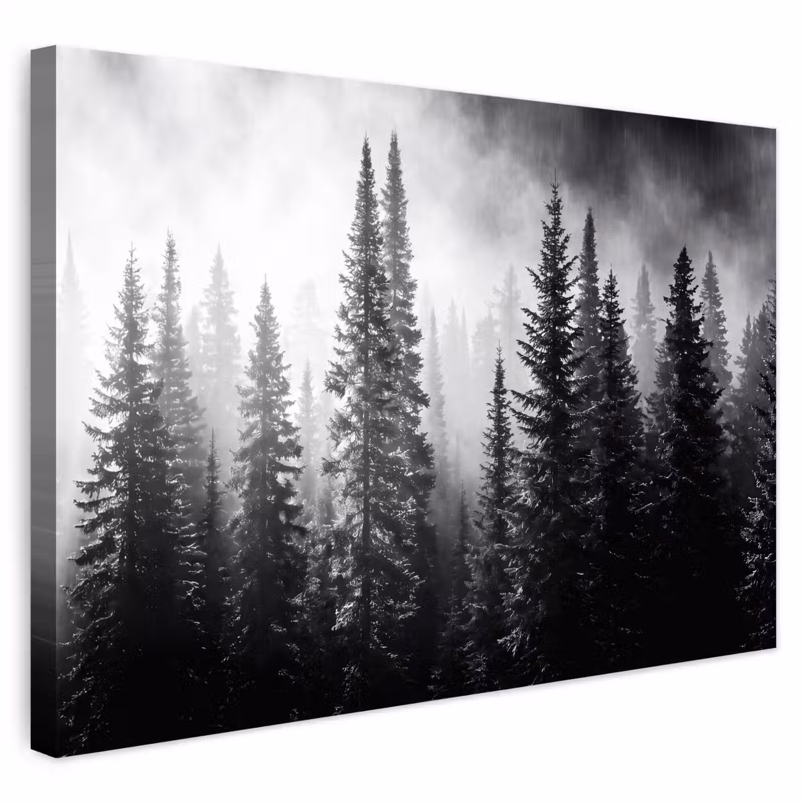 Buiten canvas - Bos - Mist - Winter - Monochroom - Natuur — 1