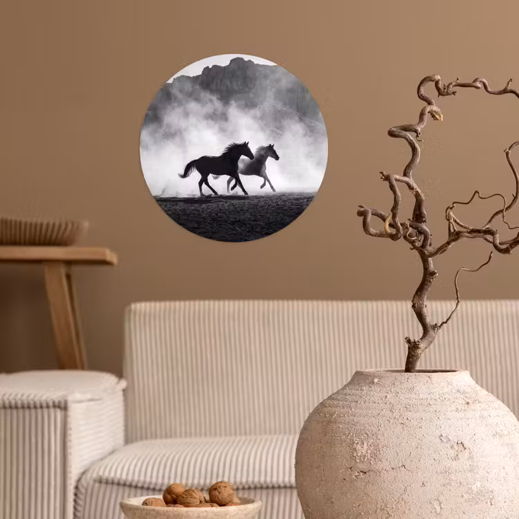 Behangcirkel - Paard - Ren - Stof - Zwart-wit - Dieren — 2