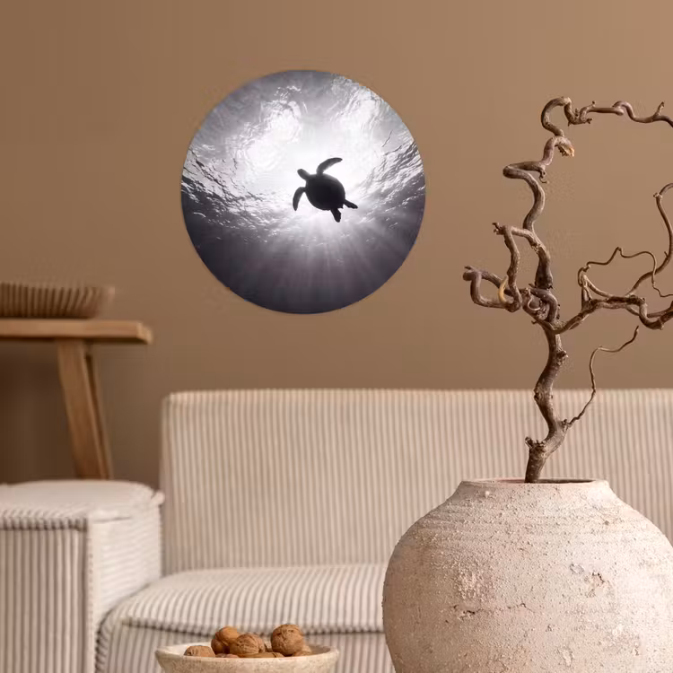 Behangcirkel - Schildpad - Onderwater - Lichtstralen - Oceaan - Zwart-wit — 2