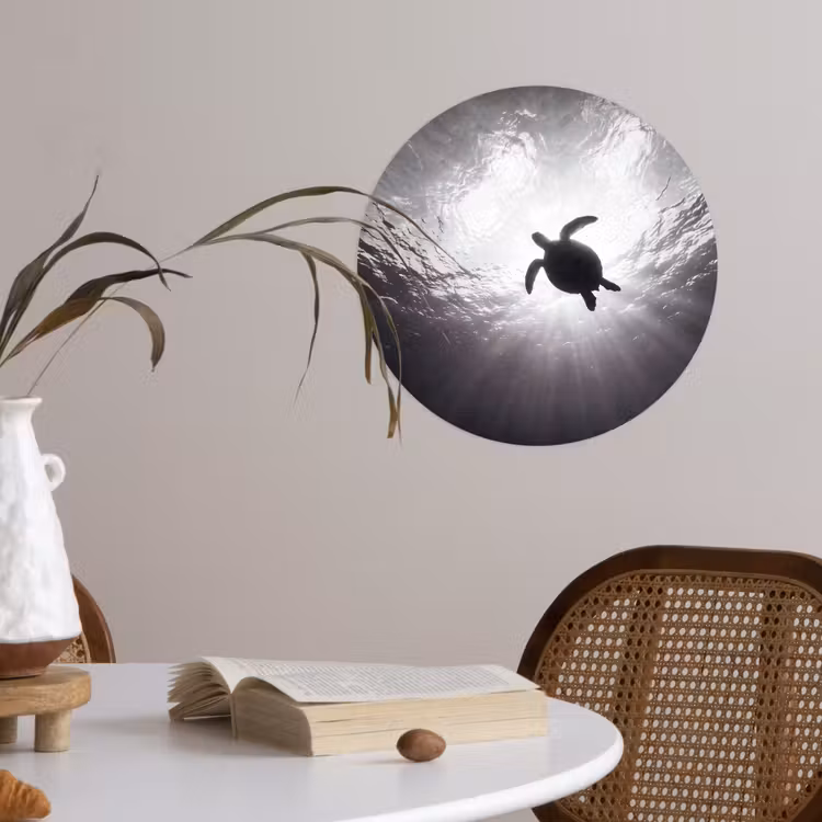 Behangcirkel - Schildpad - Onderwater - Lichtstralen - Oceaan - Zwart-wit — 4