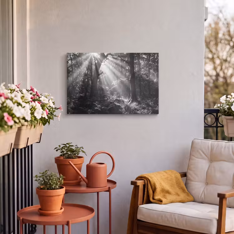 Buiten canvas - Bos - Lichtstralen - Natuur - Zwart-wit — 3