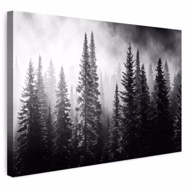 Buiten canvas - Bos - Mist - Winter - Monochroom - Natuur — 1