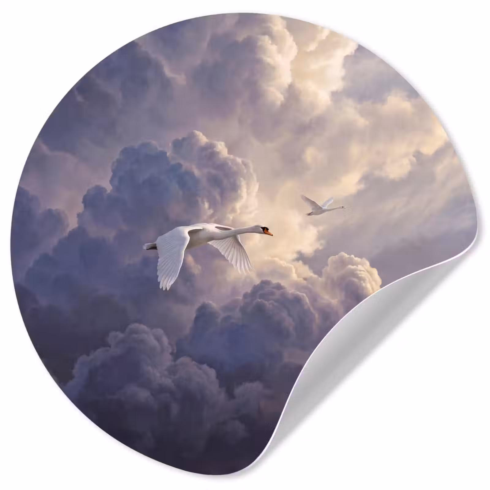 Behangcirkel - Vogel - Vliegend - Natuur - Wit - Wolken — 1