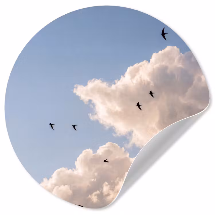 Behangcirkel - Vogel - Vlucht - Wolken - Natuur - Blauw — 1