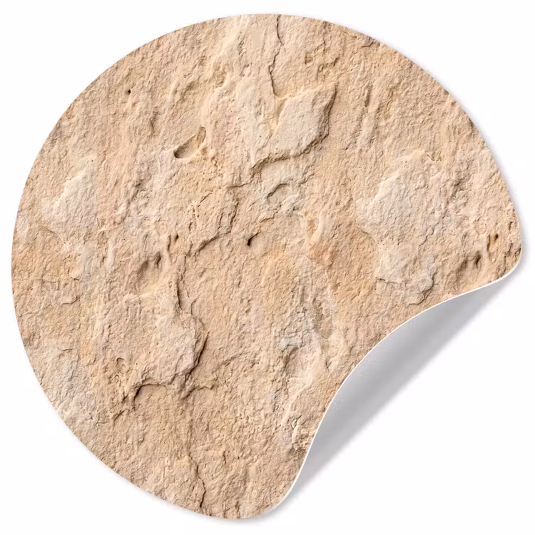 Behangcirkel - Textuur - Steen - Natuur - Beige — 1