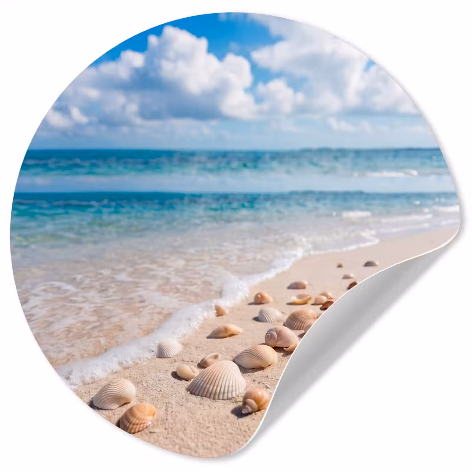 Behangcirkel - Schelpen - Strand - Natuur - Beige — 1