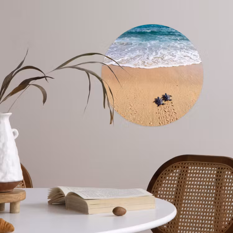 Behangcirkel - Schildpad - Jong - Strand - Oceaan - Blauw — 4