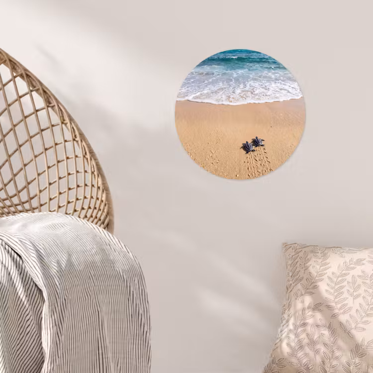 Behangcirkel - Schildpad - Jong - Strand - Oceaan - Blauw — 5