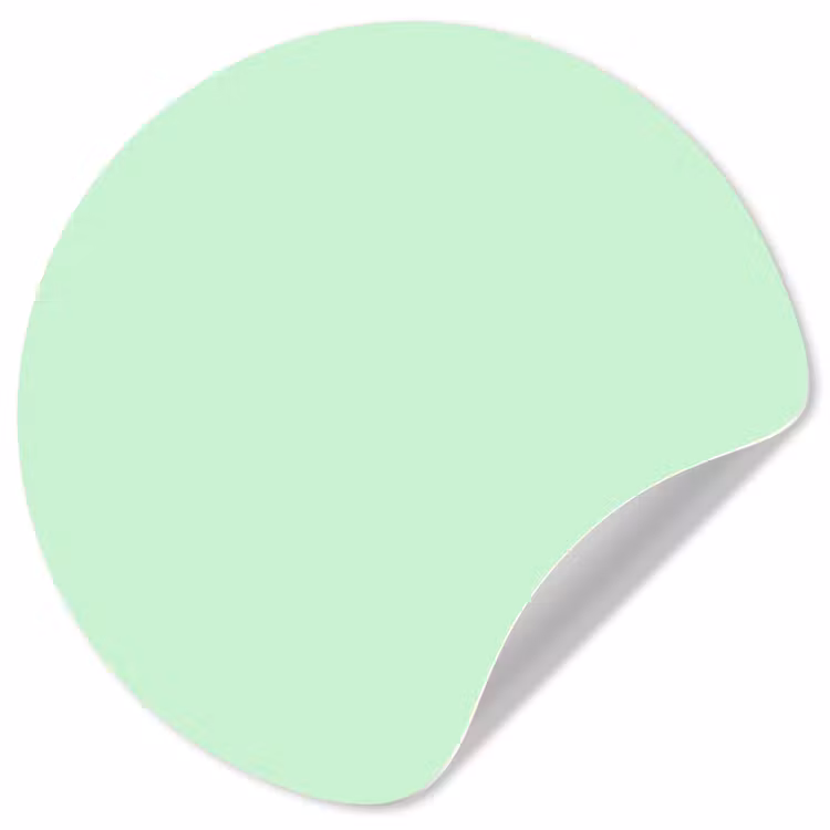 Behangcirkel - Pale - Mint - Groen — 1