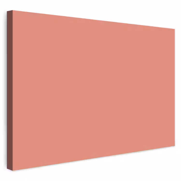 Buiten canvas - Earthy - Rose - Koraal — 1