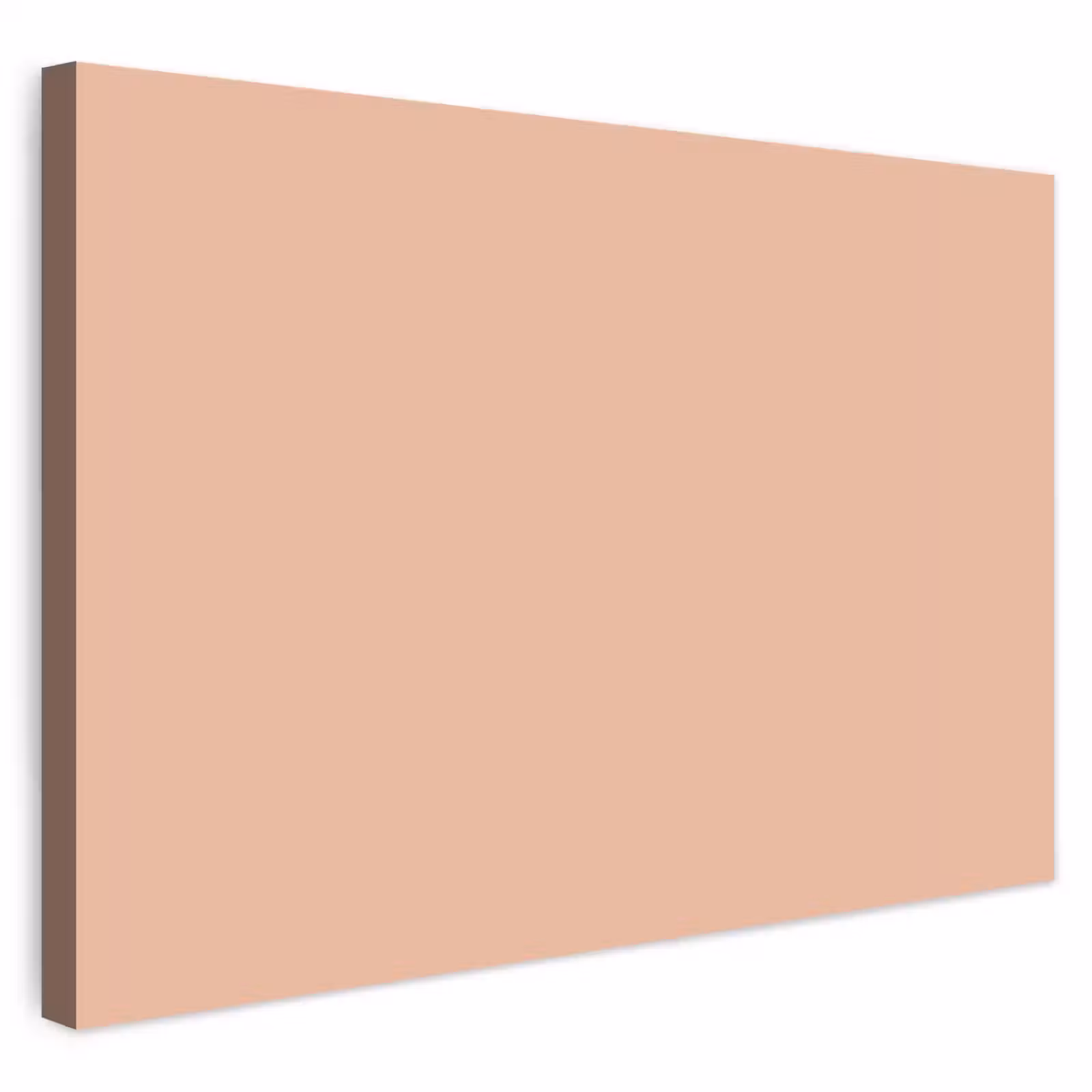 Buiten canvas - Blush - Terracotta - Nude — 1