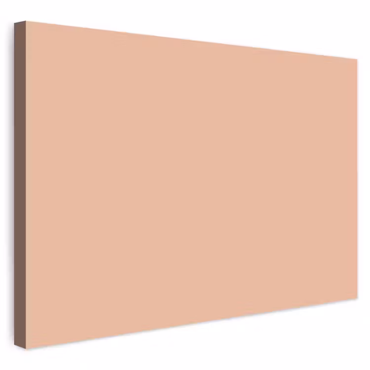 Buiten canvas - Blush - Terracotta - Nude — 1