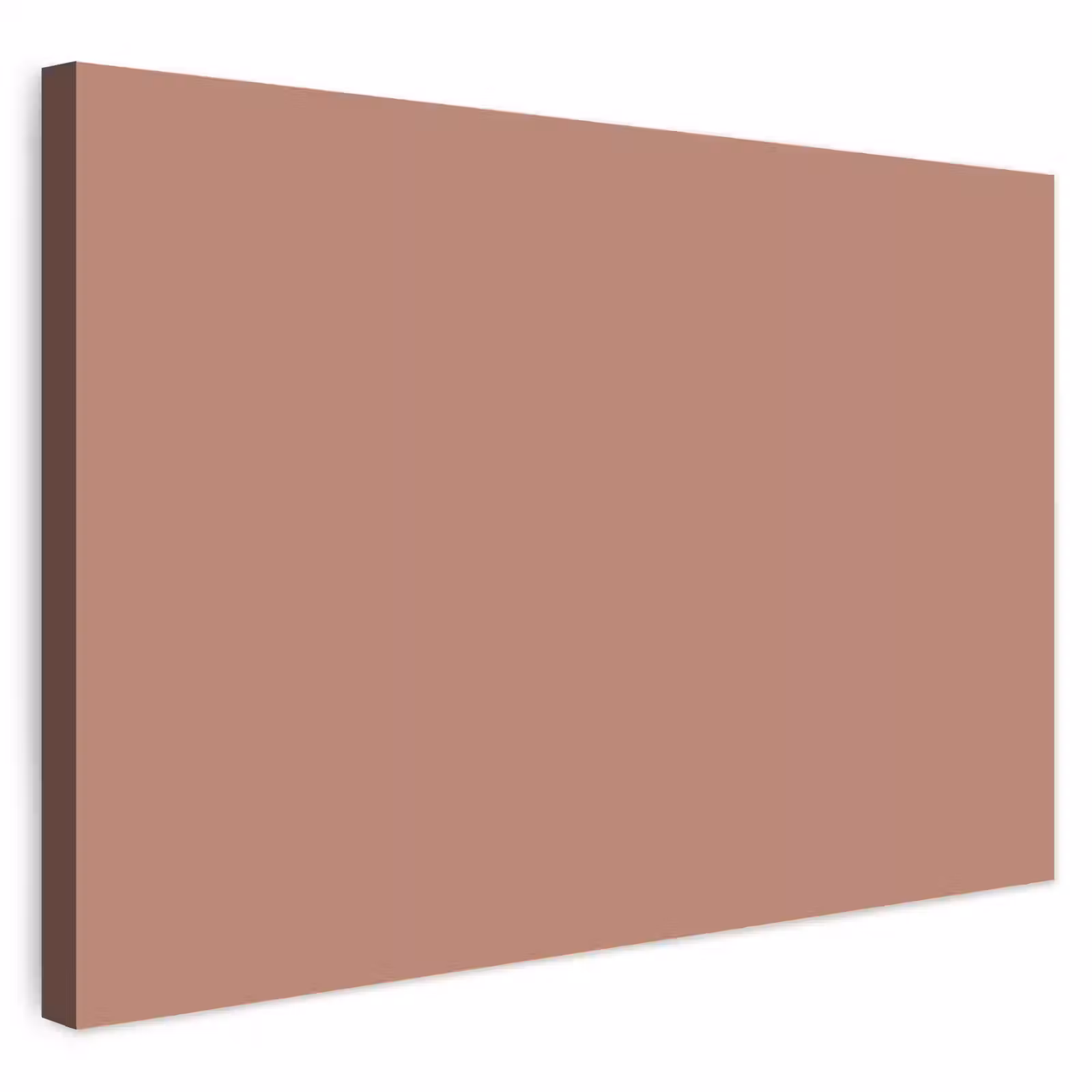 Buiten canvas - Earthy - Blusher - Roze — 1