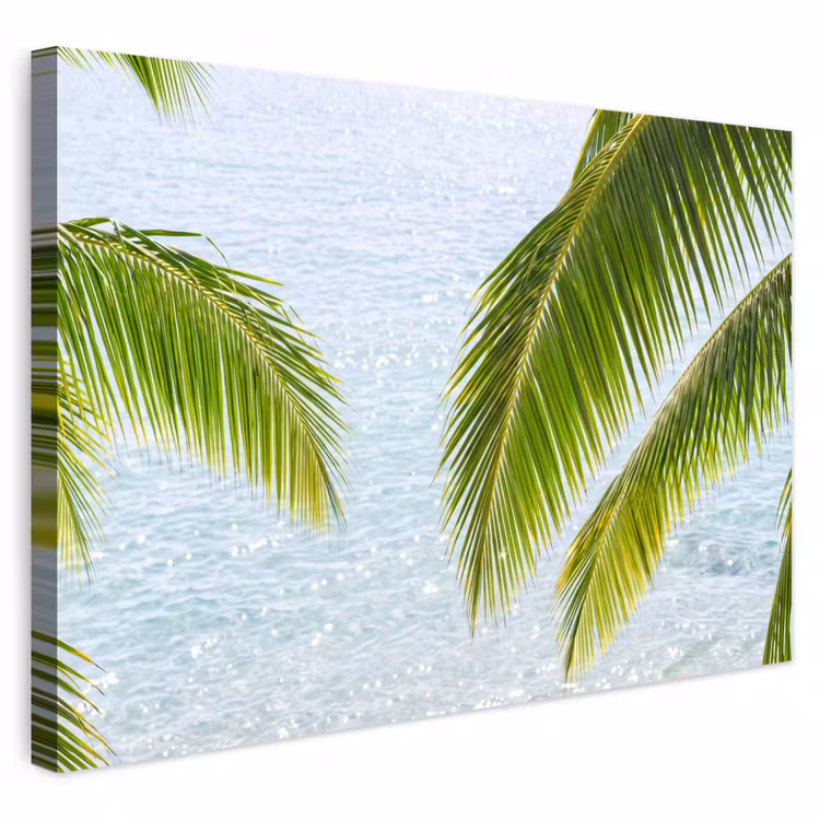 Buiten canvas - Boom - Bladeren - Water - Tropisch - Groen — 1