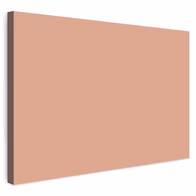 Buiten canvas - Dusty - Rose - Roze — 1