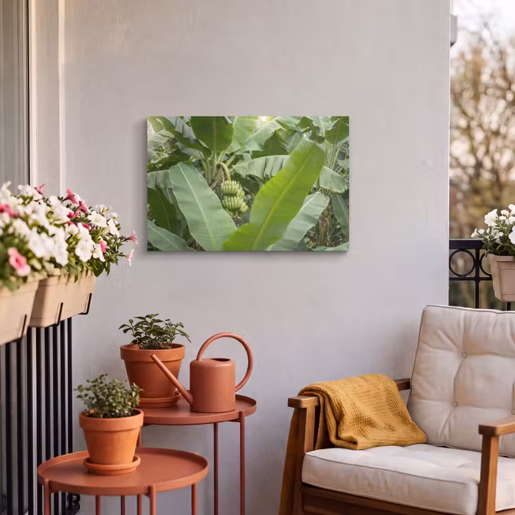 Buiten canvas - Eten - Bananen - Plantage - Groen — 3