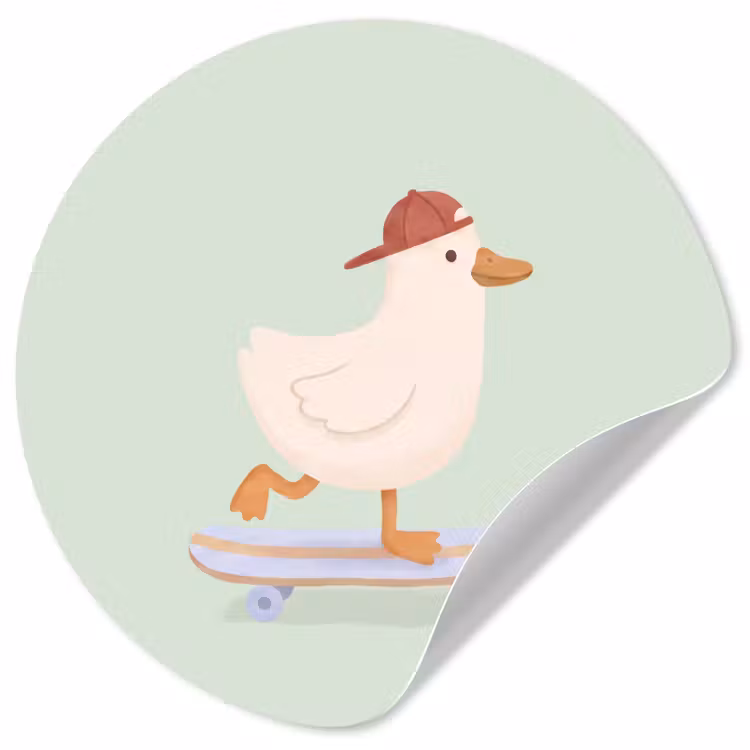 Behangcirkel - Vogel - Skateboard - Dieren - Cartoon - Speels — 1