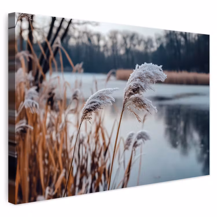 Buiten canvas - Riet - Gras - Natuur - Winter - Meer — 1
